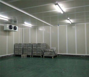 水果氣調保鮮庫